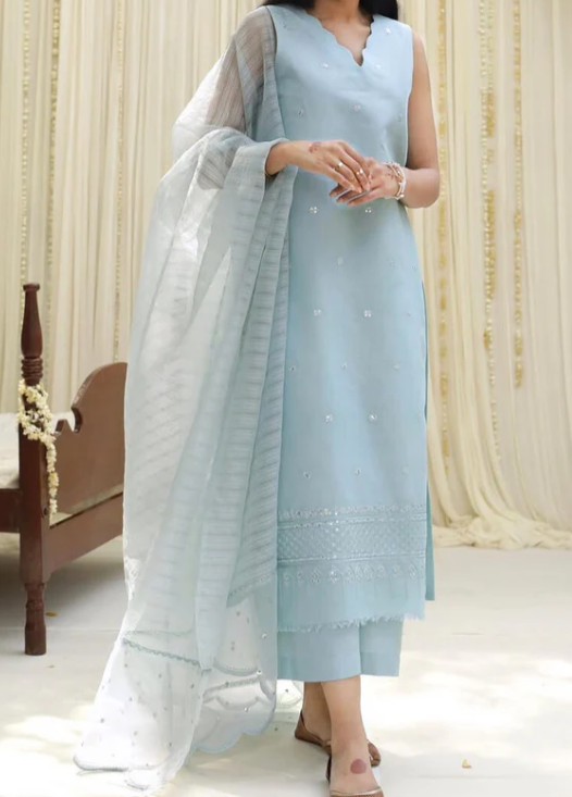 Delpazir | 3 PC Organza Dupatta