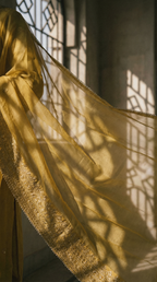 Naqsh | 3 PC Organza Dupatta