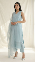 Delpazir | 3 PC Organza Dupatta