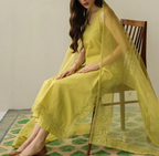 Nazanin | 3 PC Organza Dupatta