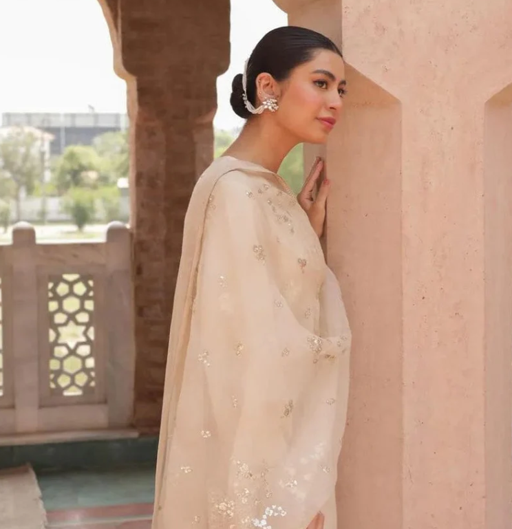Afsana | 3 PC Organza Dupatta