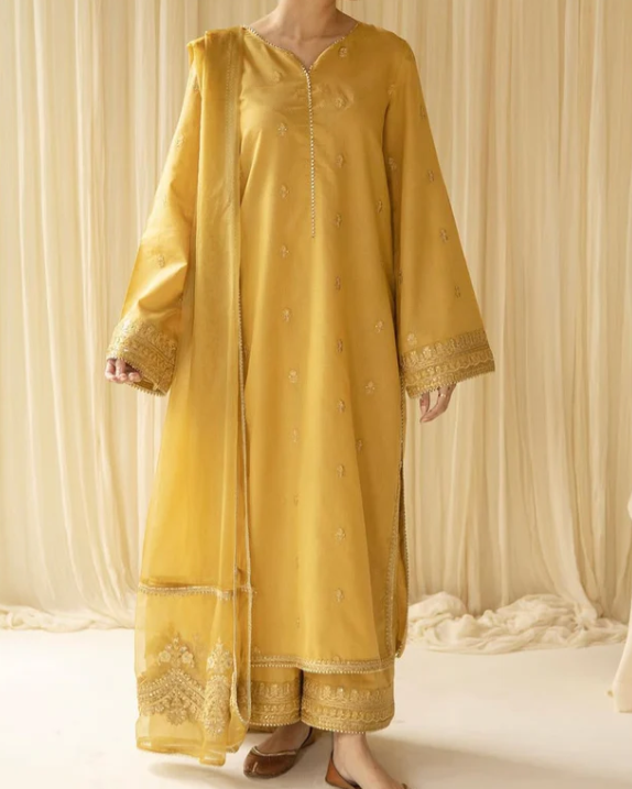Naqsh | 3 PC Organza Dupatta